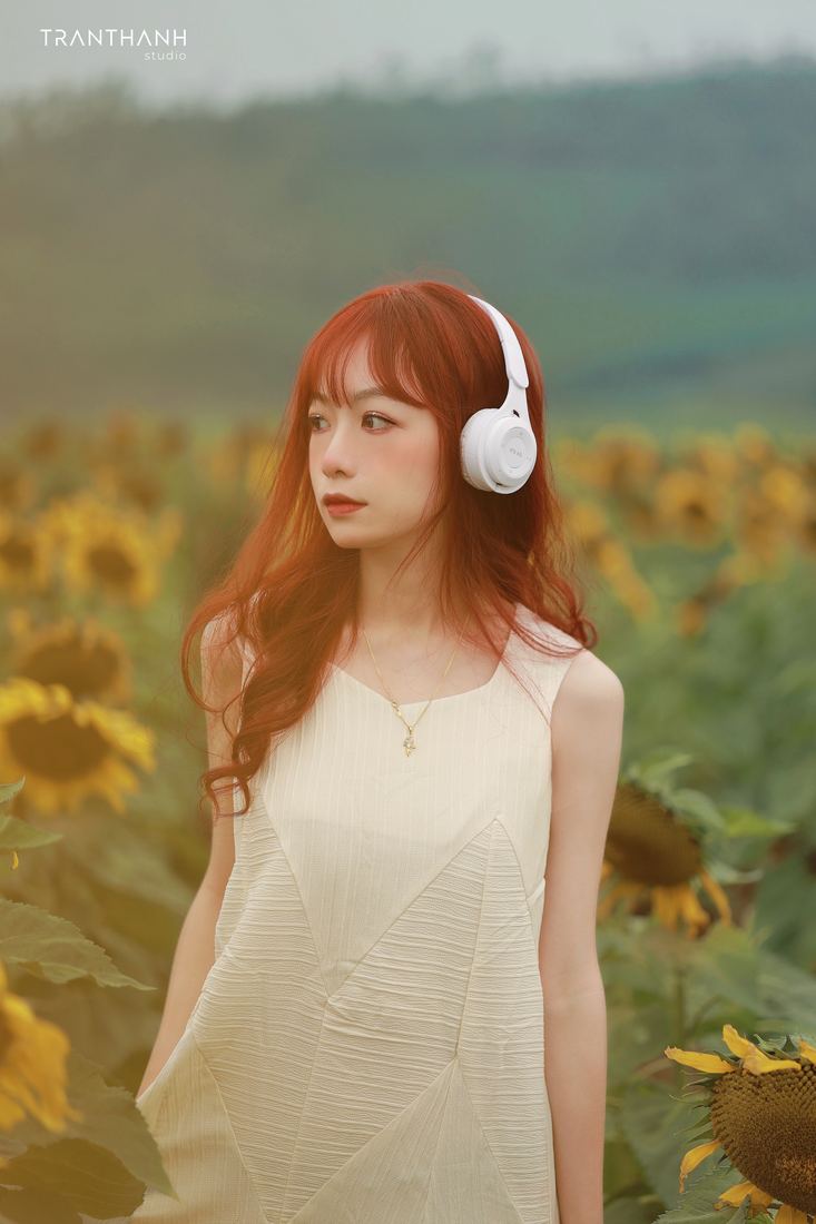 Khách của Tran Thanh Studio tại đồi hoa